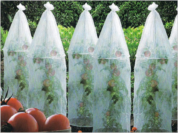 遮陽、遮蟲罩